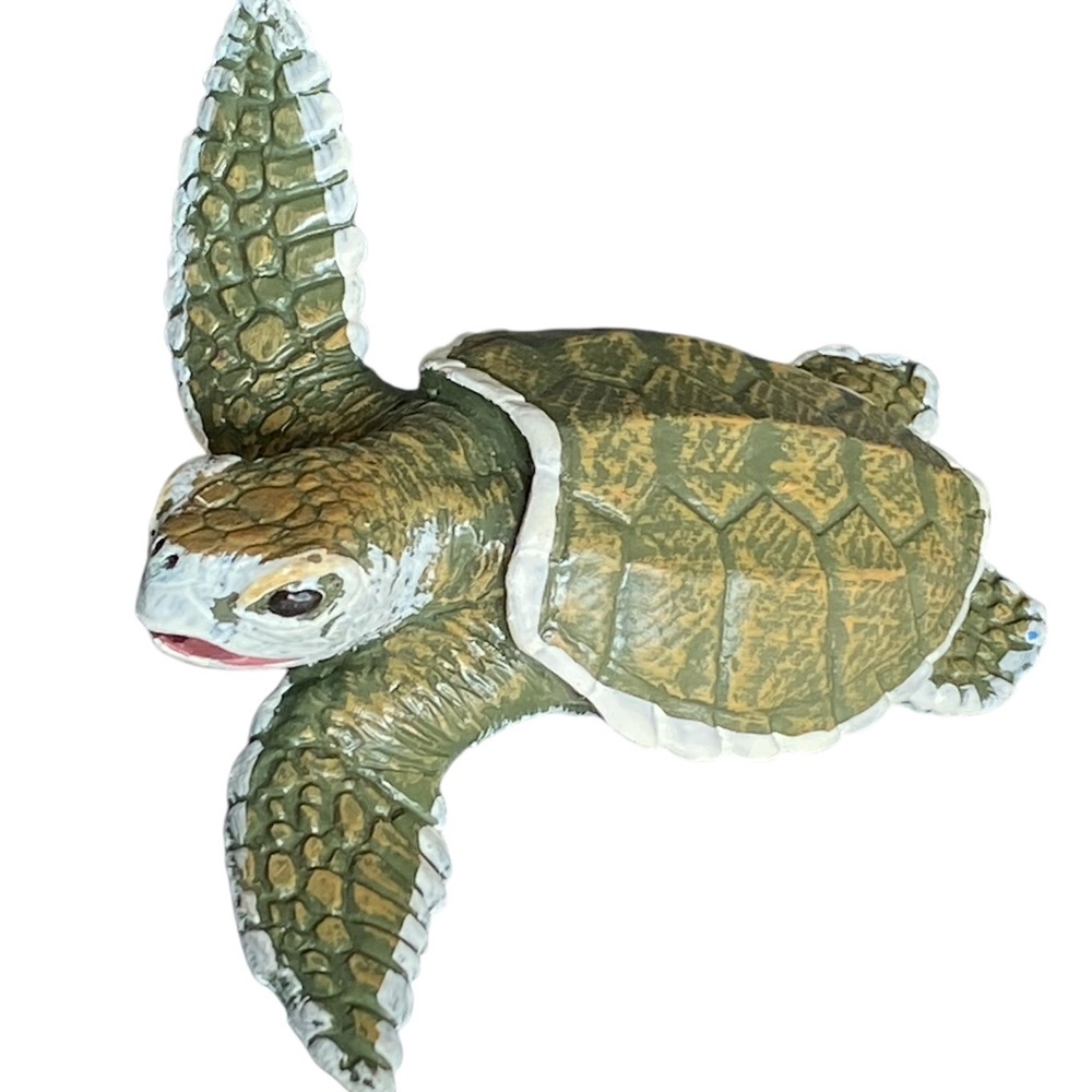 SEA TURTLE BABY Kemp's Ridley Safari Ltd  Toy Figure Sea Creature